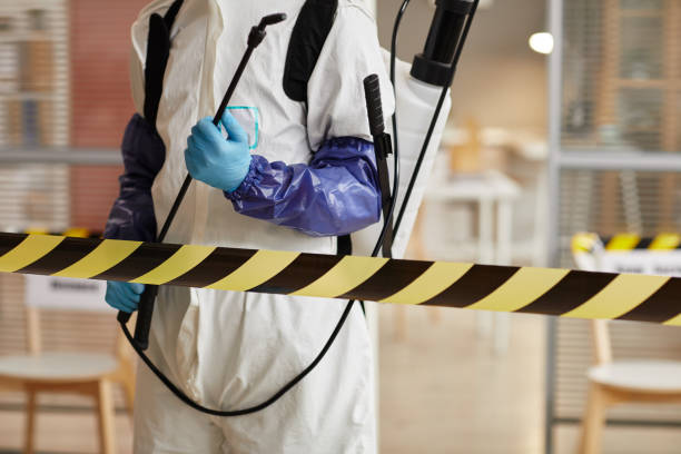 Professional Sewage Cleanup technician working in Lavaca, AR